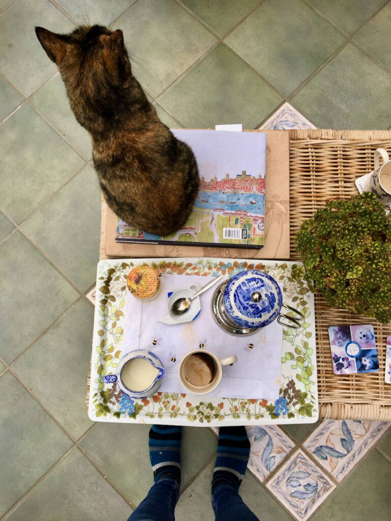 Tea room with cat in English Countryside
