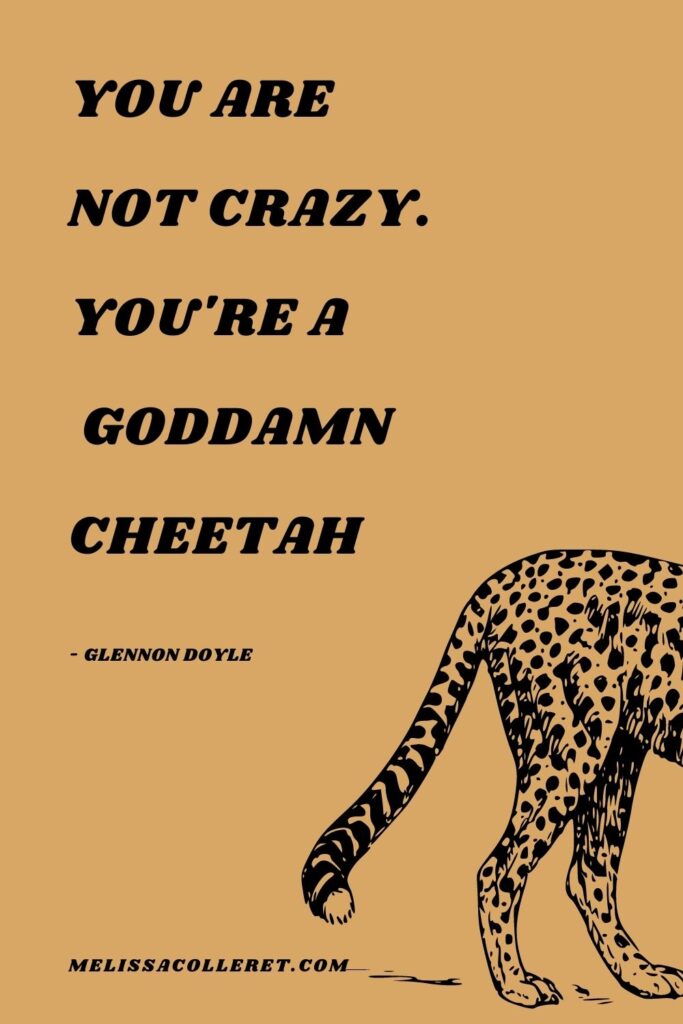 You are a goddamn cheetah